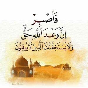 Meet your Posher, Rachida